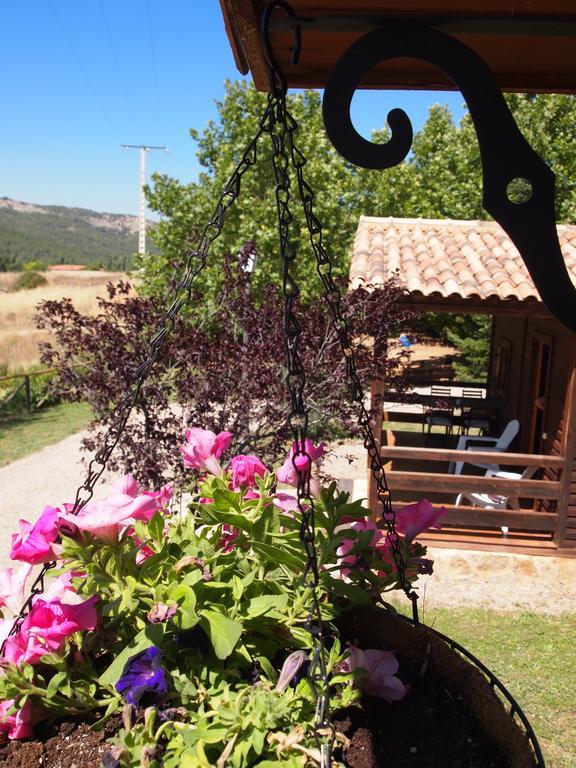 Ferienwohnung Fuente Del Arca Cañamares Exterior foto